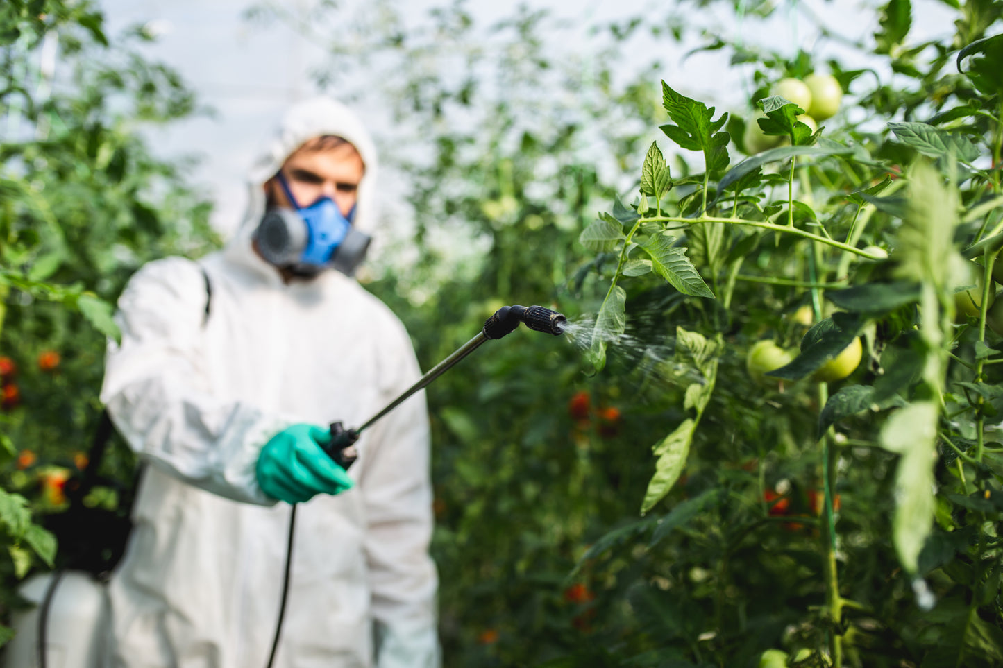 Pesticide Soil Test for Coffee/Coffee Farmers